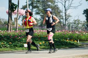 BIB: 
                            <button type="button" onclick="openModal(27608223)" class="btn btn-primary btn-sm float-right btn-popup" data-toggle="modal" data-target=".modal-high-quality">
                        <i class="fas fa-shopping-cart"></i> Add to Cart
                    </button>
                                            <button type="button" onclick="isThisMe(27608223, true)" class="btn btn-success btn-sm float-right btn-popup btn-isme hidden" data-toggle="tooltip" data-placement="bottom" title="นี่คือรูปของคุณใช่ไหม คลิกที่นี่เพื่อเอาเข้าอัลบั้ม">
                        <i class="fas fa-plus"></i> Add to album
                    </button>
                    <button type="button" onclick="isThisMe(27608223, false)" class="btn btn-warning btn-sm float-right btn-popup btn-isnotme hidden">
                        <i class="fas fa-ban"></i> Remove from album
                    </button>